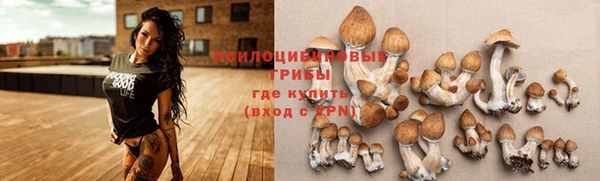 трава Абаза