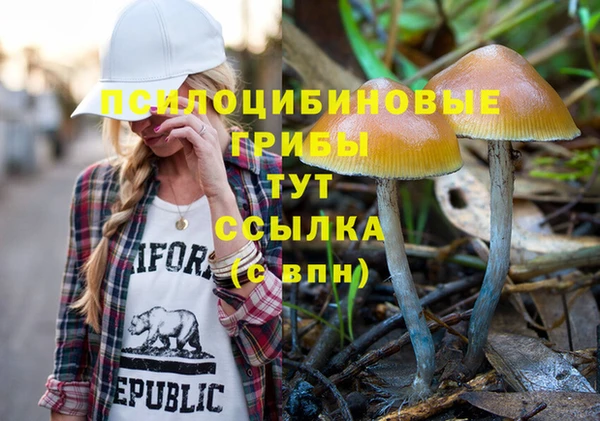 ПСИЛОЦИБИНОВЫЕ ГРИБЫ Абинск