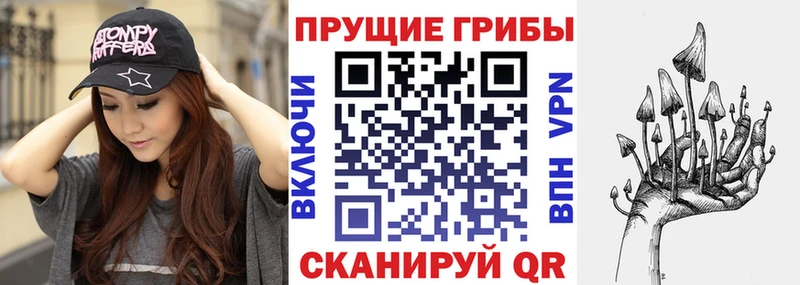 Галлюциногенные грибы Psilocybe  Урень 